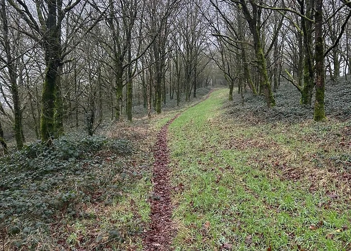 Maison De La Fontaine Casa vacanze Hierges